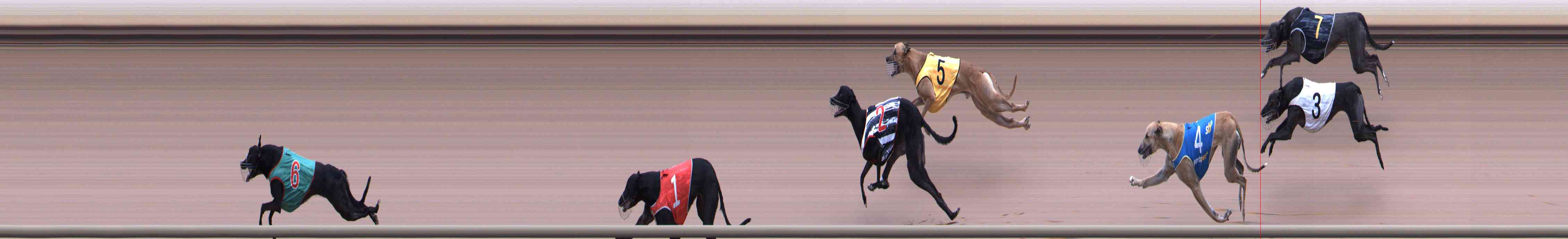 Race result finish photo